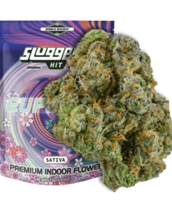 sluggers euphoria